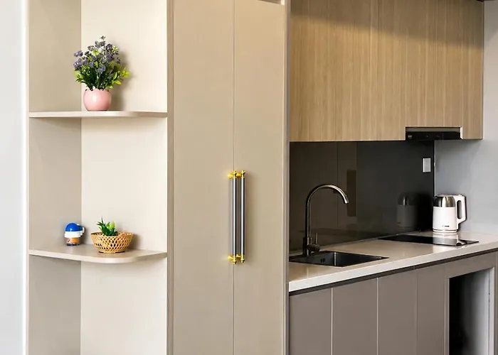 The Ruby By Ln Maison Apartment Hạ Long